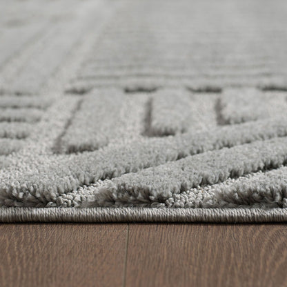 Hochflorteppiche, Skandinavischer Boho, Farbe Silber, Teppich für Wohnzimmer, Rücken aus Jute